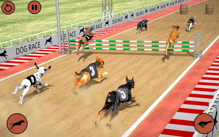 Chinh Phục Game Nhanh Đua Chó Tại 188Bet Với Chiến Lược Hiệu Quả