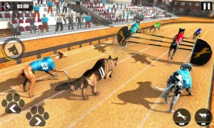 Chinh Phục Game Nhanh Đua Chó Tại 188Bet Với Chiến Lược Hiệu Quả